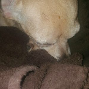 Meet your Posher, Maddie